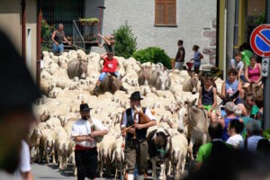 la transumanza a Valcanale