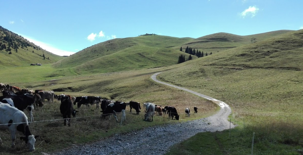 montagnina-rifugio-parafulmine-montagnina