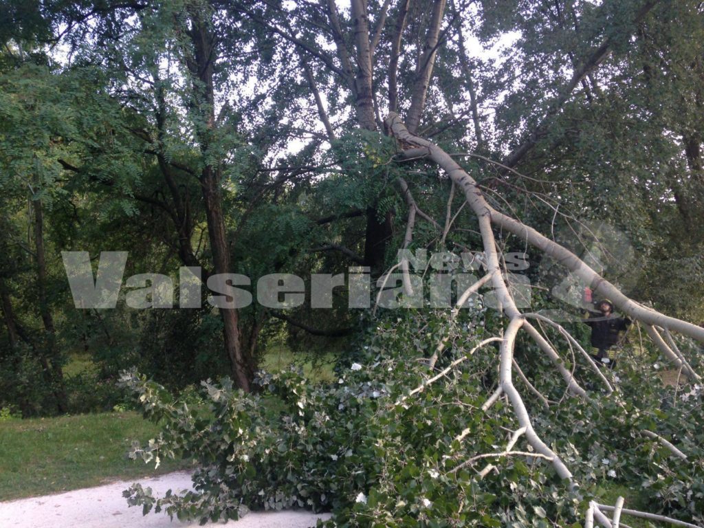 Albero Sulla Ciclabile Ad Albino, Intervengono I Vigili Del Fuoco ...