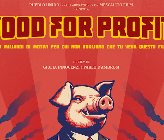 food for profit clusone